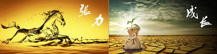 企業(yè)發(fā)展要學(xué)會(huì)取他人之長(zhǎng)、補(bǔ)自己之短